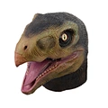 Dragon Mask
